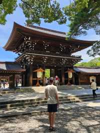 🌸 Seasonal Tokyo: What to See in Spring, Summer, Autumn, and Winter