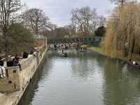 📍Cambridge, United Kingdom 🇬🇧 