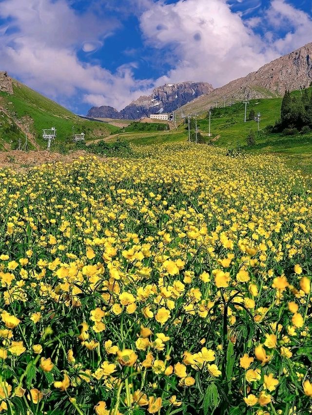 Shymbulak – Almaty’s Alpine Playground Above the Clouds