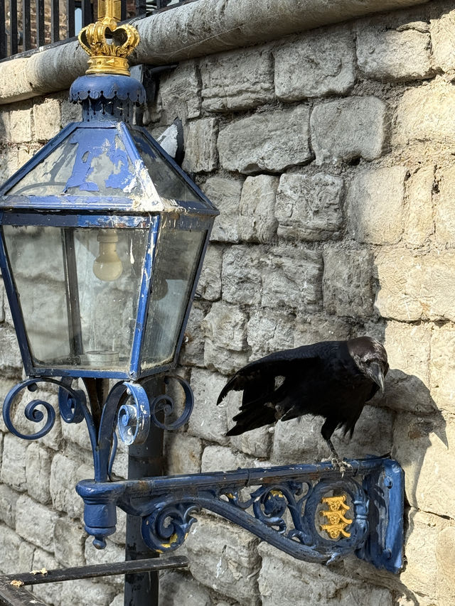 A Comprehensive Guide to the Tower of London 🏰