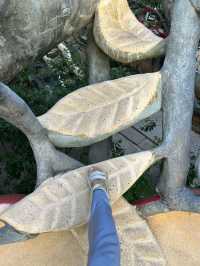 Crazy house of Dalat and new look at it!