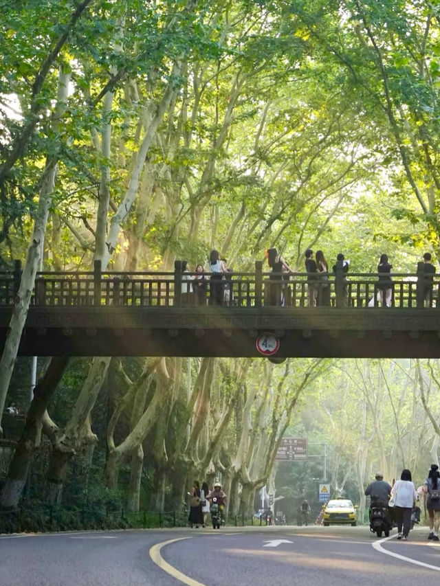 Nanjing: Where History Meets Modern Life