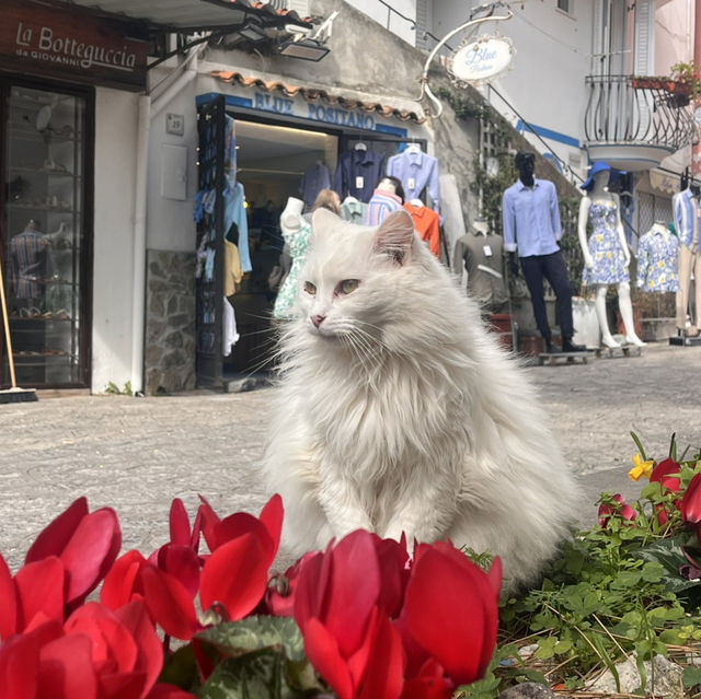 Positano: The Vertical Paradise Where Dreams Cascade into the Sea