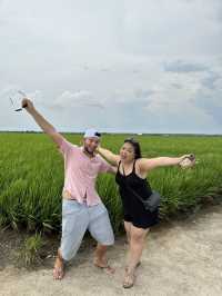 Paddy Fields Review: Discover the Rice Fields of Sekinchan, Malaysia