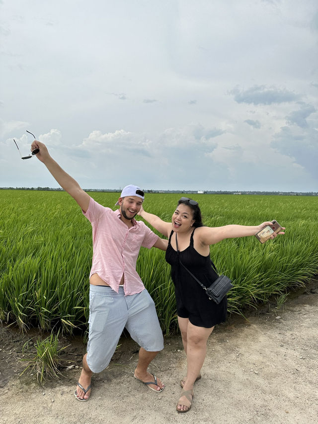 Paddy Fields Review: Discover the Rice Fields of Sekinchan, Malaysia