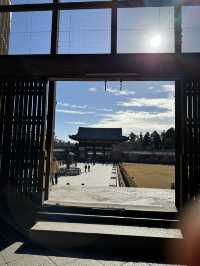 Step Into Ancient Majesty: A Nara Day at Todai-ji