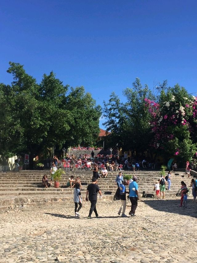 Exploring the Heart of Cuba: The Countryside Experience 🇨🇺