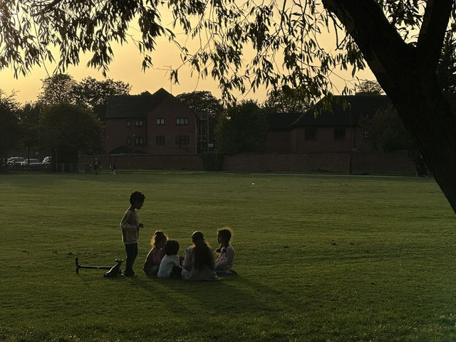 🌳 Discover Roundwood Park, Brent – A Hidden Green Gem in London! 🌳