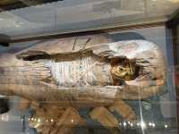 Vienna: A City That Feels Like Walking Through a Masterpiece ✨