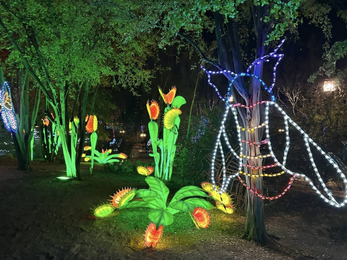 三香見 クリスマスデザイン PHOENIX 25.12.25 , 12:25:25 Joy to the world 🥳