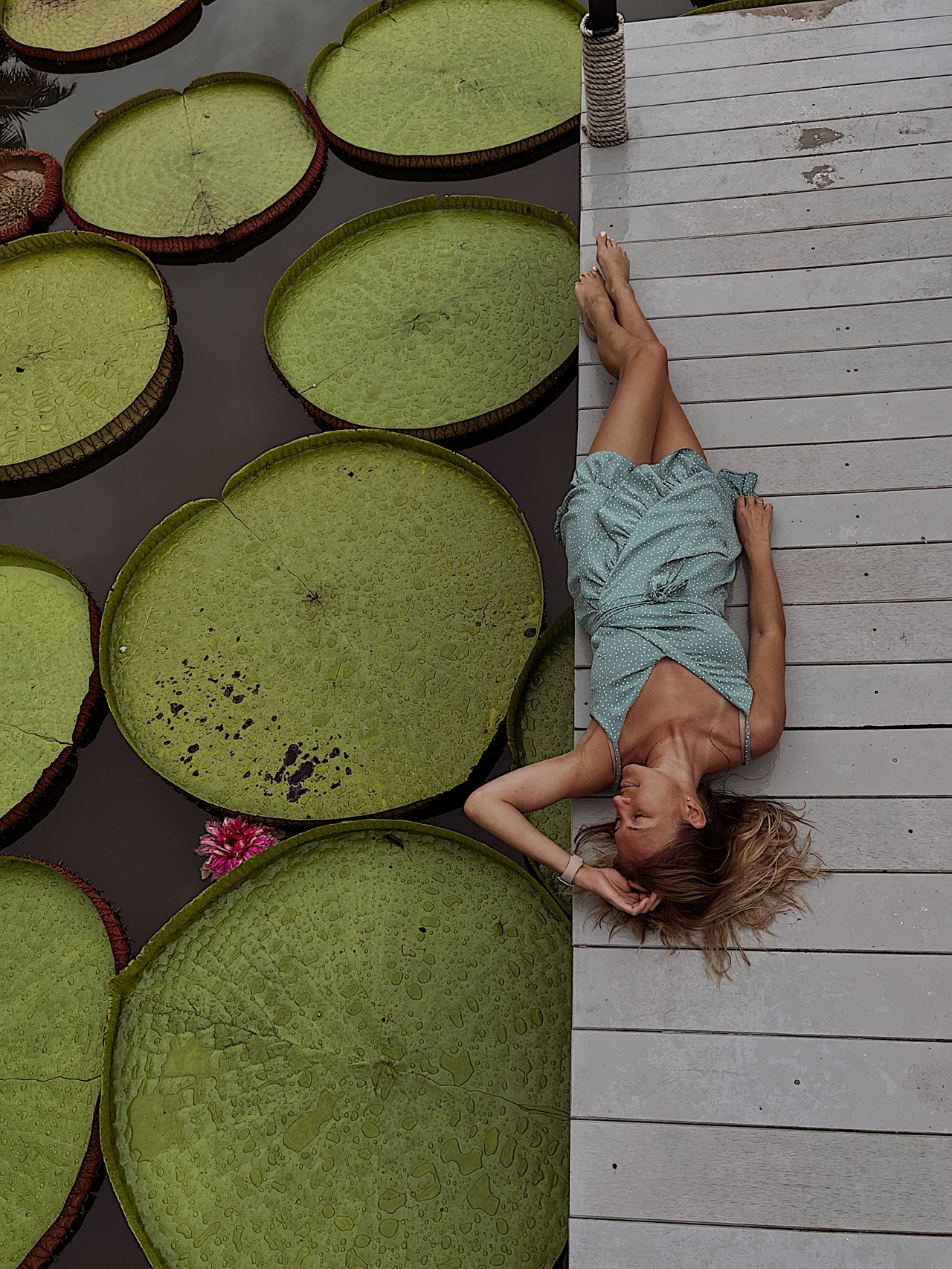 One of the most photogenic and atmospheric spots in Phuket, this location has become a true mecca for Instagram enthusiasts and nature lovers.
Location: "Ma Doo Bua" - A café with a pond of giant water lilies
🚩Google Maps link: https://maps.app.goo.gl/bVUq4DXPCd1jgZwJ9?g_st=ic
This is not just a café, but rather a large garden, restaurant, and art space built around a massive pond where a rare species of giant water lilies, Victoria amazonica, is cultivated. Their leaves can grow over 2 meters in diameter and can support the weight of a small child. The name translates from Thai as "Maa Doo Bua" — "Come and see the lotuses."
What makes this place special?
1️⃣ The giant water lilies are the main attraction. They are at their peak size and beauty from December to May (dry season).
2️⃣ Stunning photo zones:
🛶 Boat Noodle: You can book a photoshoot on a traditional Thai boat, which will be taken to the middle of the pond. Photos are taken with a drone, creating the effect of "floating on giant leaves." This is a paid service.
🧊 Viewing platform with a mirrored floor — creates the illusion of floating above the water.
🪷 Bamboo bridges and pathways, hammock nets around the pond.
🗿 The area is designed in the style of an "abandoned temple" with modern sculptures and neon signs that are beautifully lit in the evening.
What else to do besides taking photos?
· Try Thai cuisine: The restaurant menu offers a good selection of classic dishes (Tom Yum, Pad Thai, curry), snacks, desserts, and, of course, coffee and signature drinks (often with floral and fruity notes). The food is of good quality.
· Buy souvenirs: There is a shop with products made by local artisans.
· Simply relax: The area is large and green, making it a pleasant place to sit in the shade, watching the water and lilies.
Practical Information
· Location: Near Bang Tao Beach, also close to the airport.
Exact address: 310/51 M.1 Baandon-Cherngtalay Rd, Thep Krasatti, Thalang. Nearby is the famous Wat Phra Nang Sang temple.
· Opening hours: Daily from 9:00 AM to 6:00 PM (restaurant open until 10:00 PM, but the lilies are not visible in the evening).
· Entrance: Free. You only pay for food/drinks and additional services (a boat photoshoot costs around 300-400 baht).
· Best time to visit: Morning to noon (9:00 AM - 11:00 AM). The lighting is better for photos, there are fewer tourists, and the lilies are fully open. After noon, they may start to "close."
🪷🪷🪷Ma Doo Bua is the perfect place for unique photos and a peaceful retreat in an extraordinary setting. It’s a blend of nature, Thai aesthetics, and modern pop culture. If you love beautiful locations, it’s worth a visit. However, if you’re only interested in lunch and not in photos or lilies, it might not be as appealing.