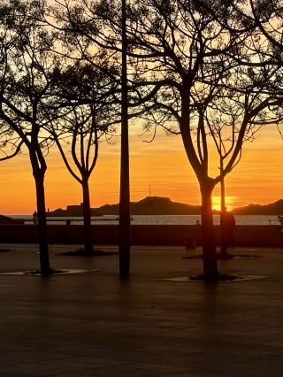 แสงแดดในฤดูหนาวทางตอนใต้ของฝรั่งเศส ☀️