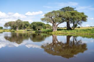 Tarangire National Park: Where Africa's Giants Gather