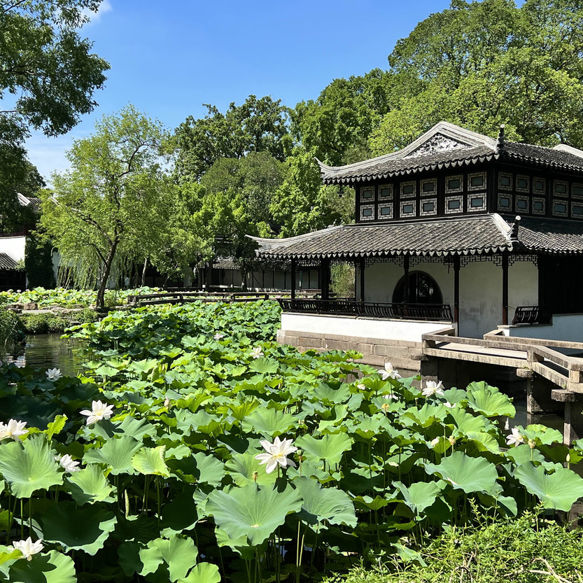 中国・蘇州】夏は蓮の花が一面に咲き乱れる庭園・拙政園（世界文化遺産