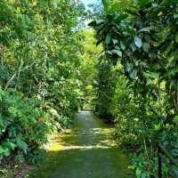A Forest Adventure: The Habitat at Penang Hill 🌳🐦🌺