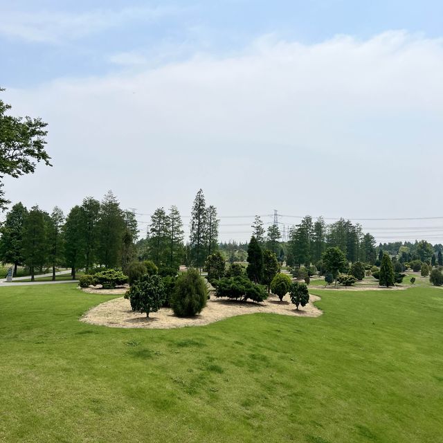 Shanghai’s Gardens 