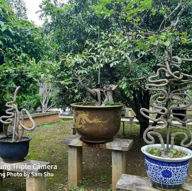 養生健身最佳氧吧~保山太保山森林公園