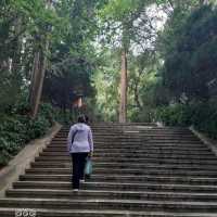 養生健身最佳氧吧~保山太保山森林公園