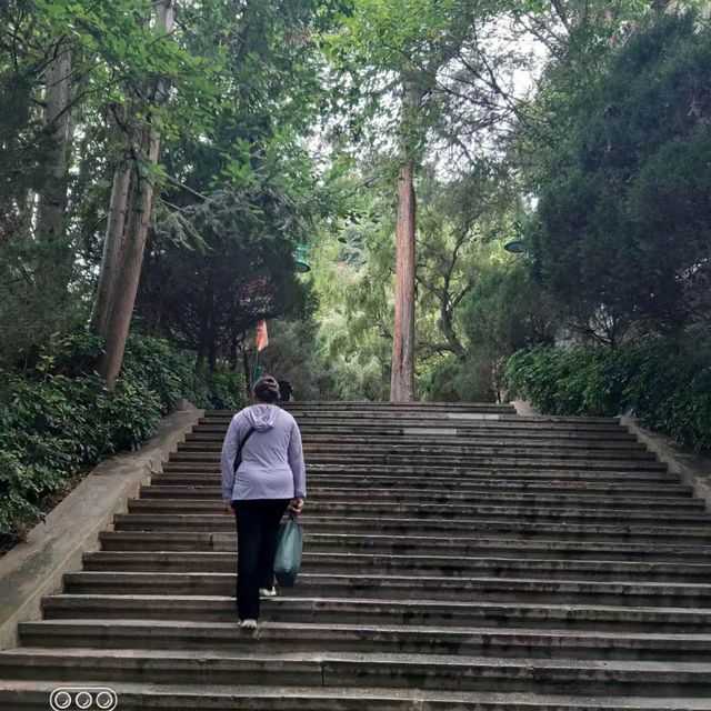 養生健身最佳氧吧~保山太保山森林公園