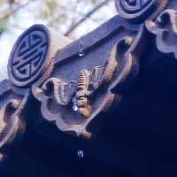 沈陽慈恩寺冬遊