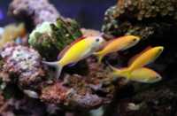 科莫多島旅遊必看攻略!!