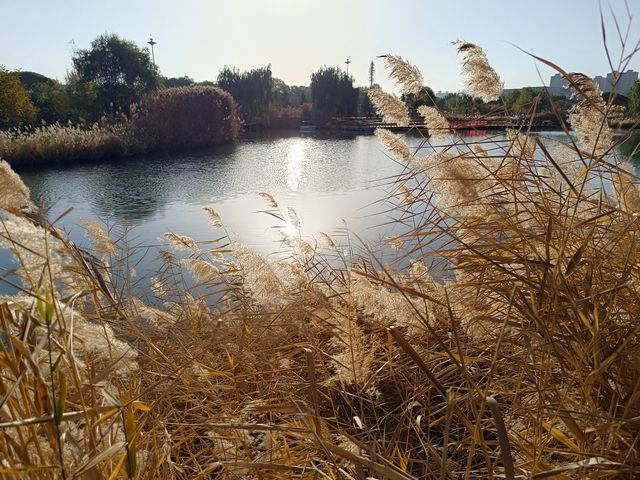 遇見多彩的秋天，張掖國家濕地公園