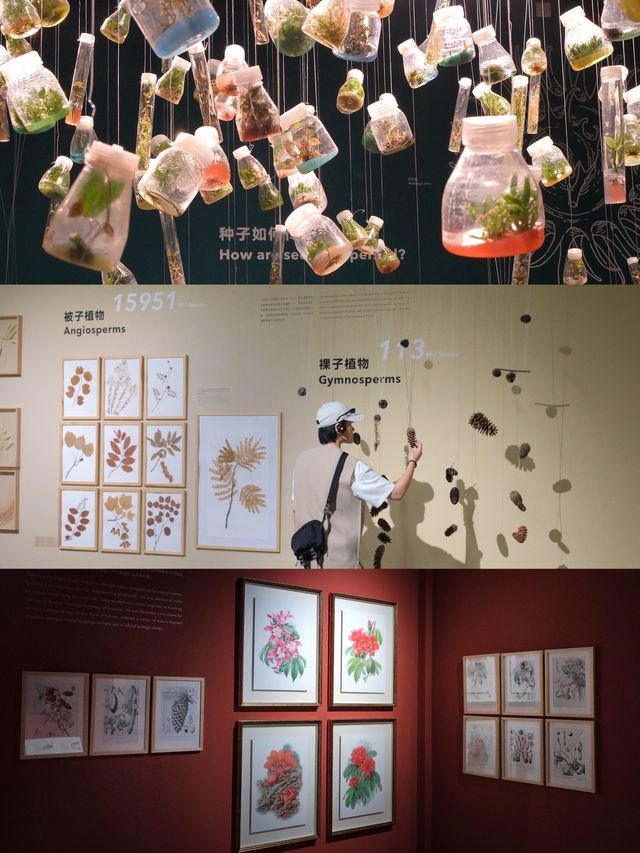在雲南，我闖入了一片藏在穹頂下的熱帶雨林