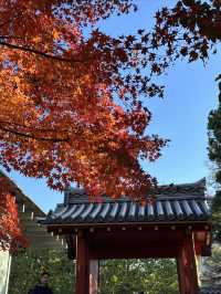 平等院