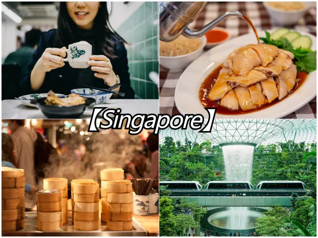 🏃‍♂️Escape the Tourist Traps in Singapore!