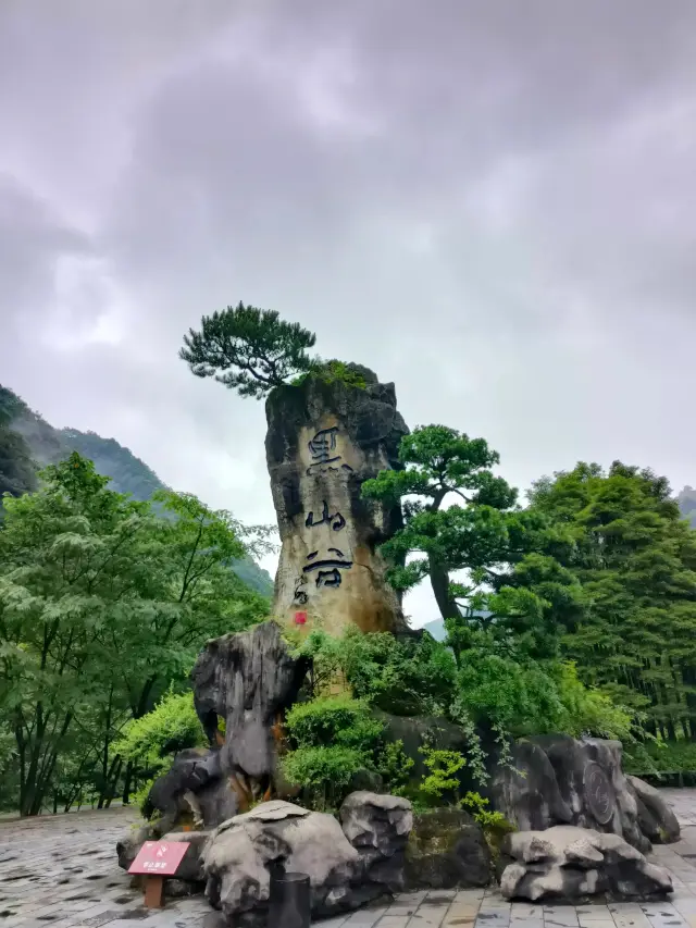 Chongqing Heishan Valley | There is nothing else in the mountains, and there is no idle worry over the years