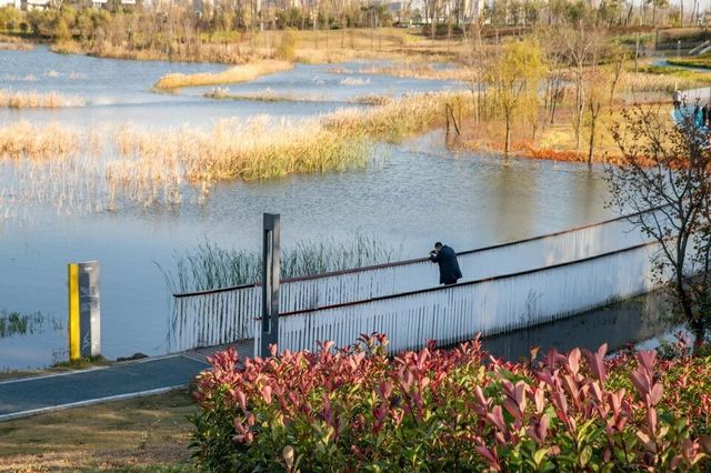 河南 周口沙河灣濕地公園 | 城市生態彈性修復的重要載體