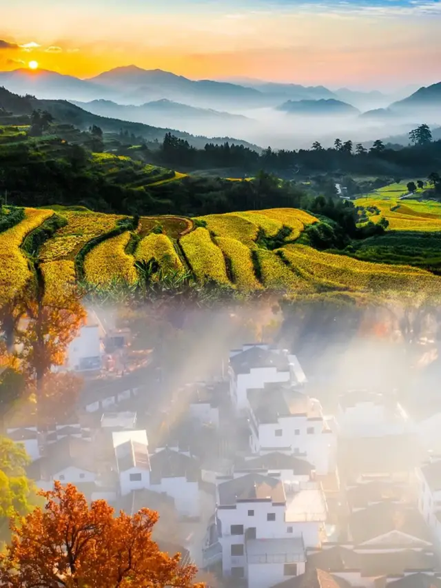 If you come to Jiangxi, you must visit the tourist attractions in Wuyuan, and experience different scenery