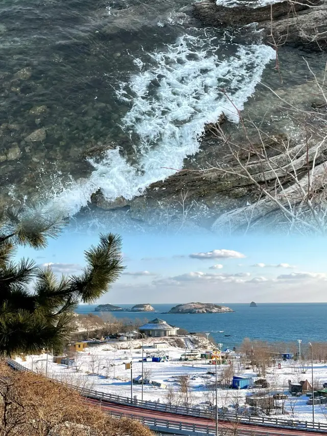 Direct flight tickets are over 300, more beautiful than Weihai, this snowy seaside city