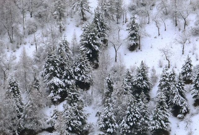 岷縣冬日冰雪世界，讓人流連忘返