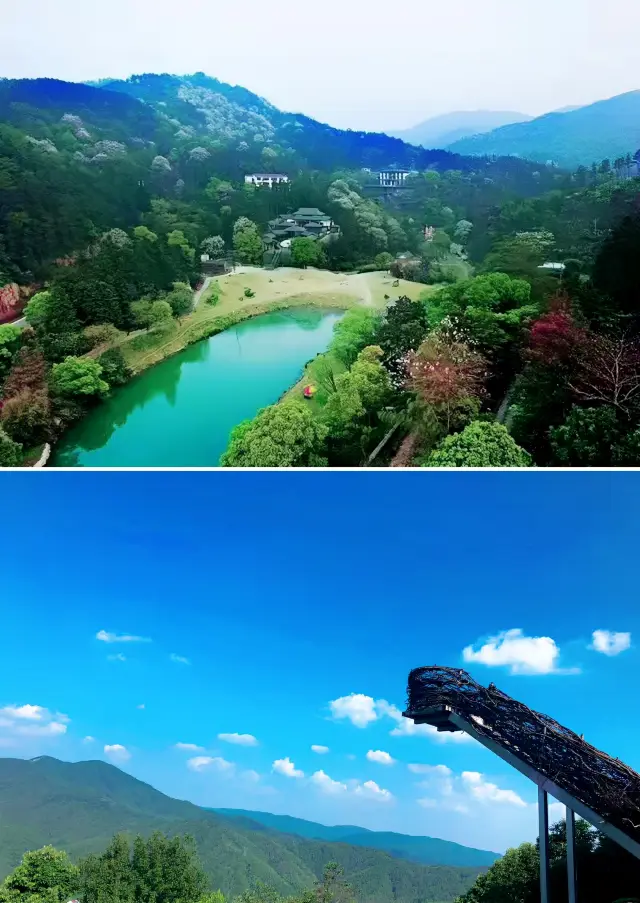 Step into Meiling International Forest Park and appreciate the power of nature