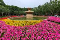 上海唯一保留的法式古典園林|復興公園（247）