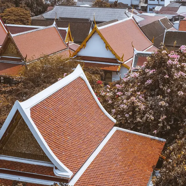 遊泰國曼谷金山寺