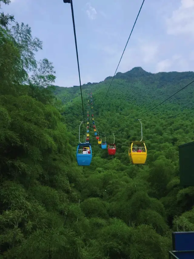 Jiangsu, Zhejiang, and Shanghai Surrounding Tour|| Detailed Guide to Nanshan Bamboo Sea