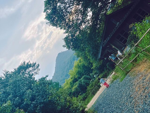【小眾冷門】打卡嚮往的生活—長樂林場