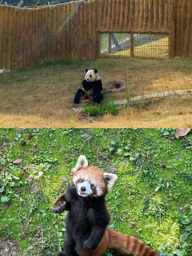 西安|秦嶺野生動物園避雷指南|||