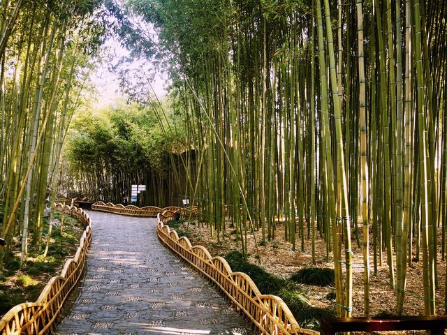 淮左第一園/蘇北的“喬家大院”/泰州喬園