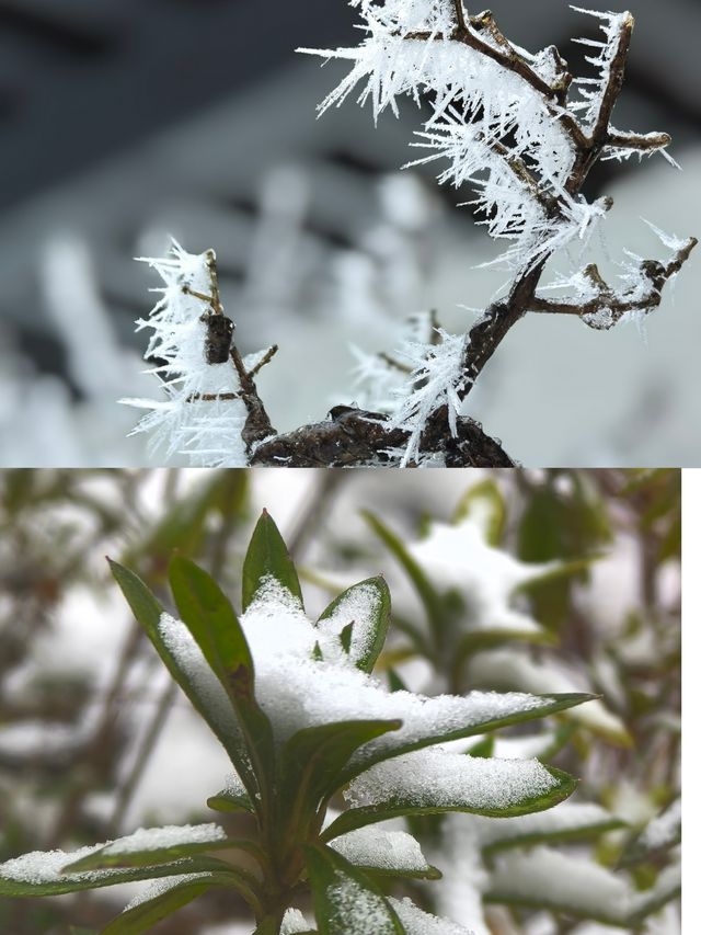 寶子們，下雪天必打卡的民宿