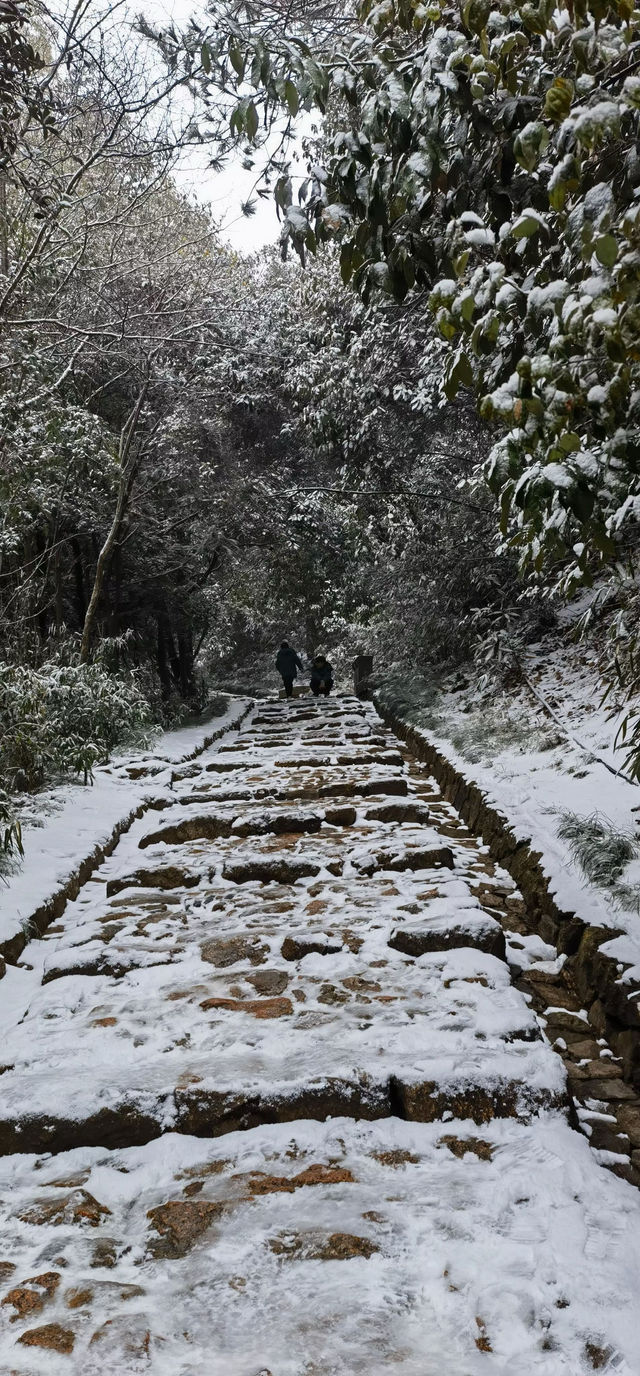 徒步杭州最美森林古道：徑山古道