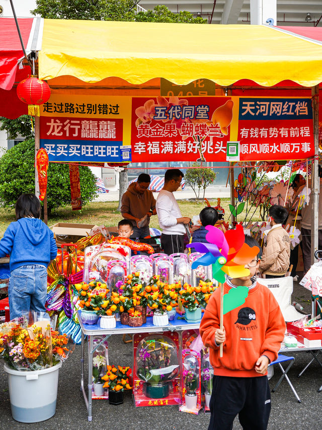 今年天河花市很強，沒有人擠人很好逛