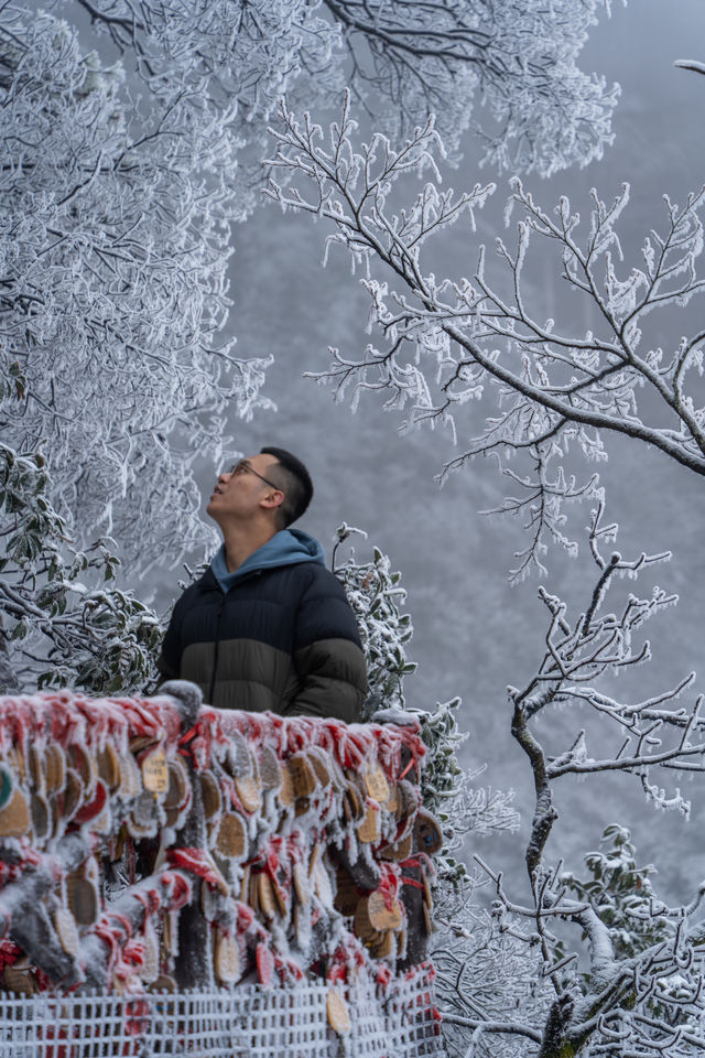 南方小土豆，被武功山雪景美翻