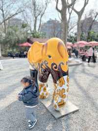 上海動物園保姆級旅遊攻略，看這篇就夠了！