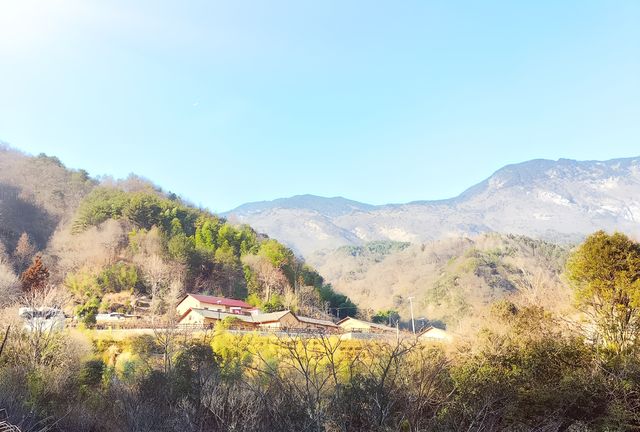 英山大別山