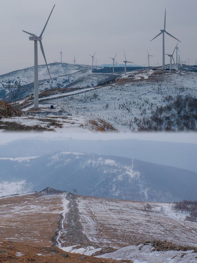 初春崇禮三樑｜又遇風雪交加的山野體驗