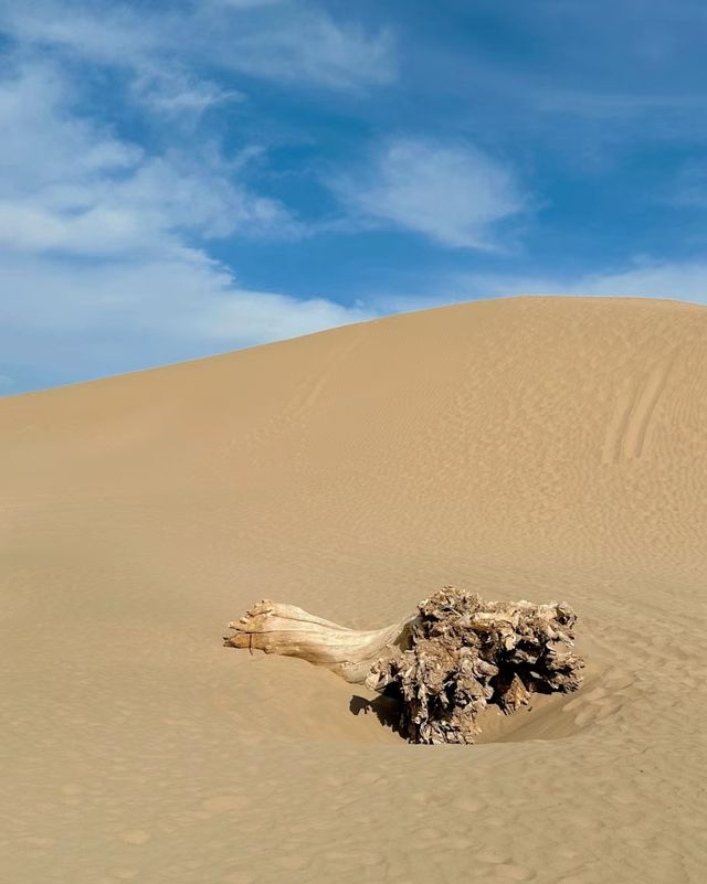 達瓦昆沙漠探險娛樂一體