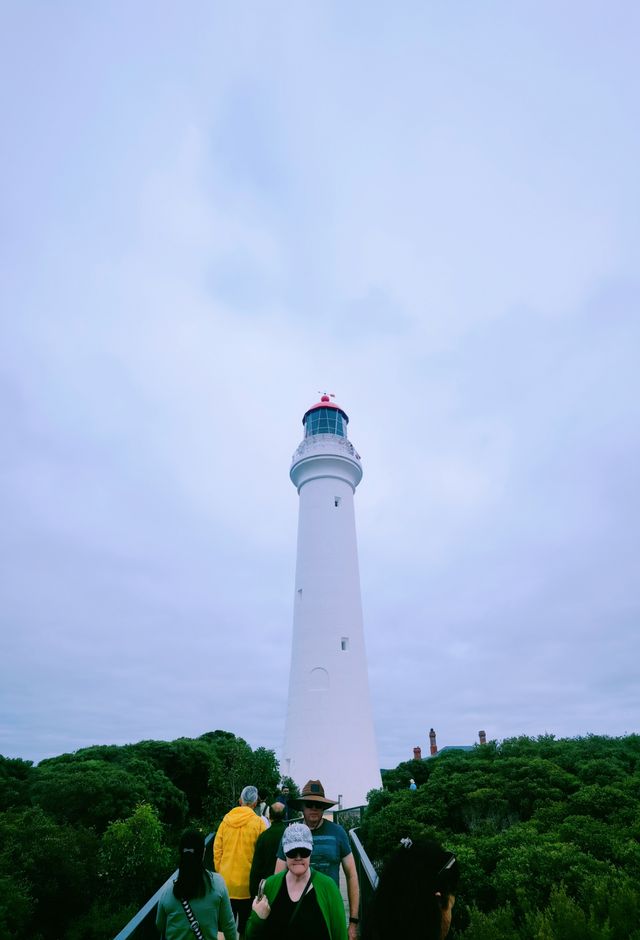 【大洋路上美麗的白皇后】—分裂角燈塔